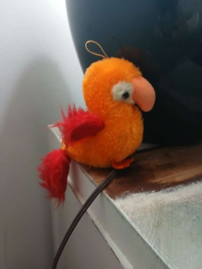 A-1 Novelty inc. co. Red and orange parrot