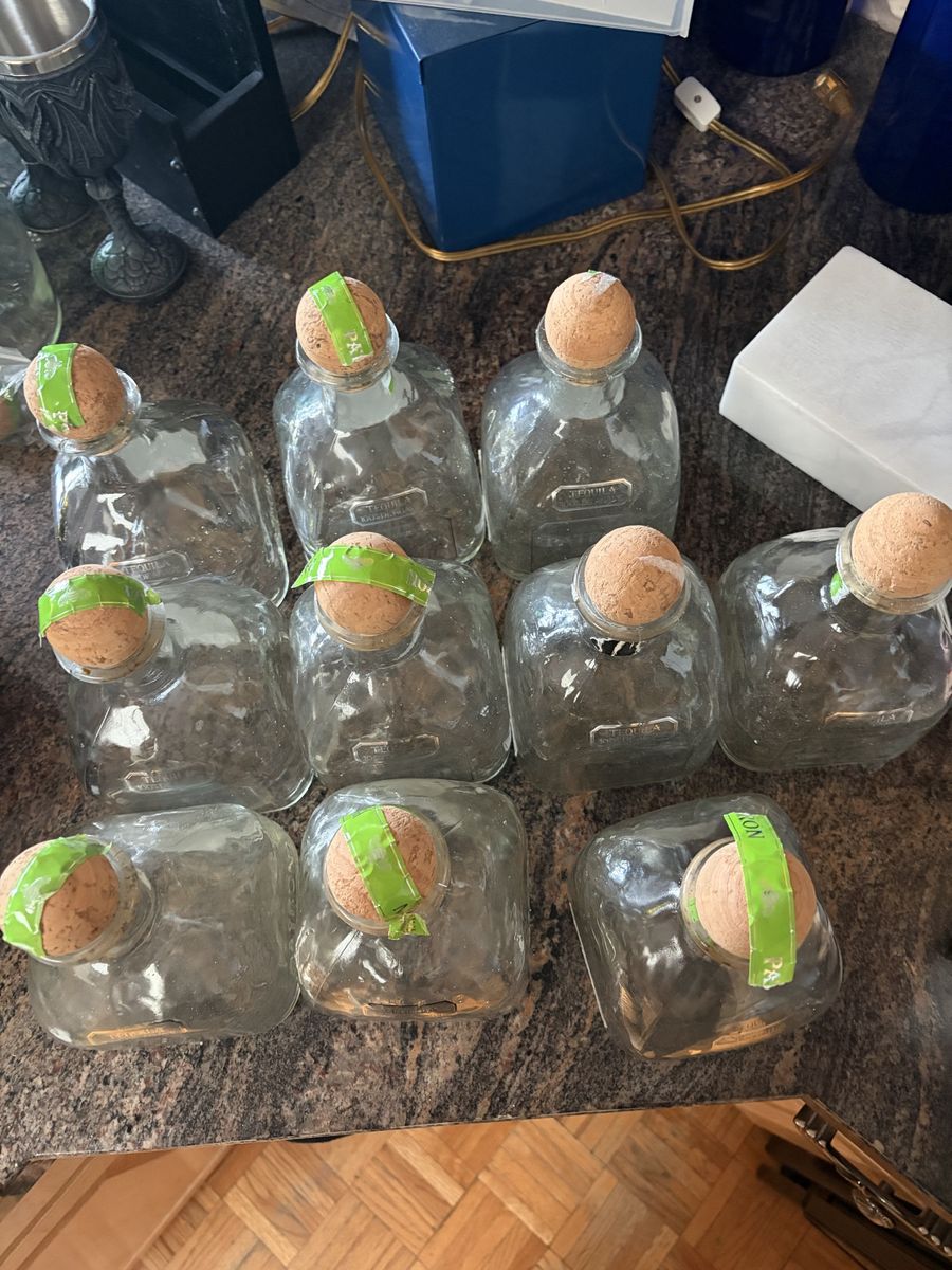 Empty Patron Silver Tequila Bottles 750ml with Corks