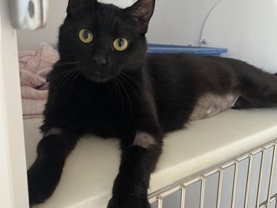 Hello my name is Darcie