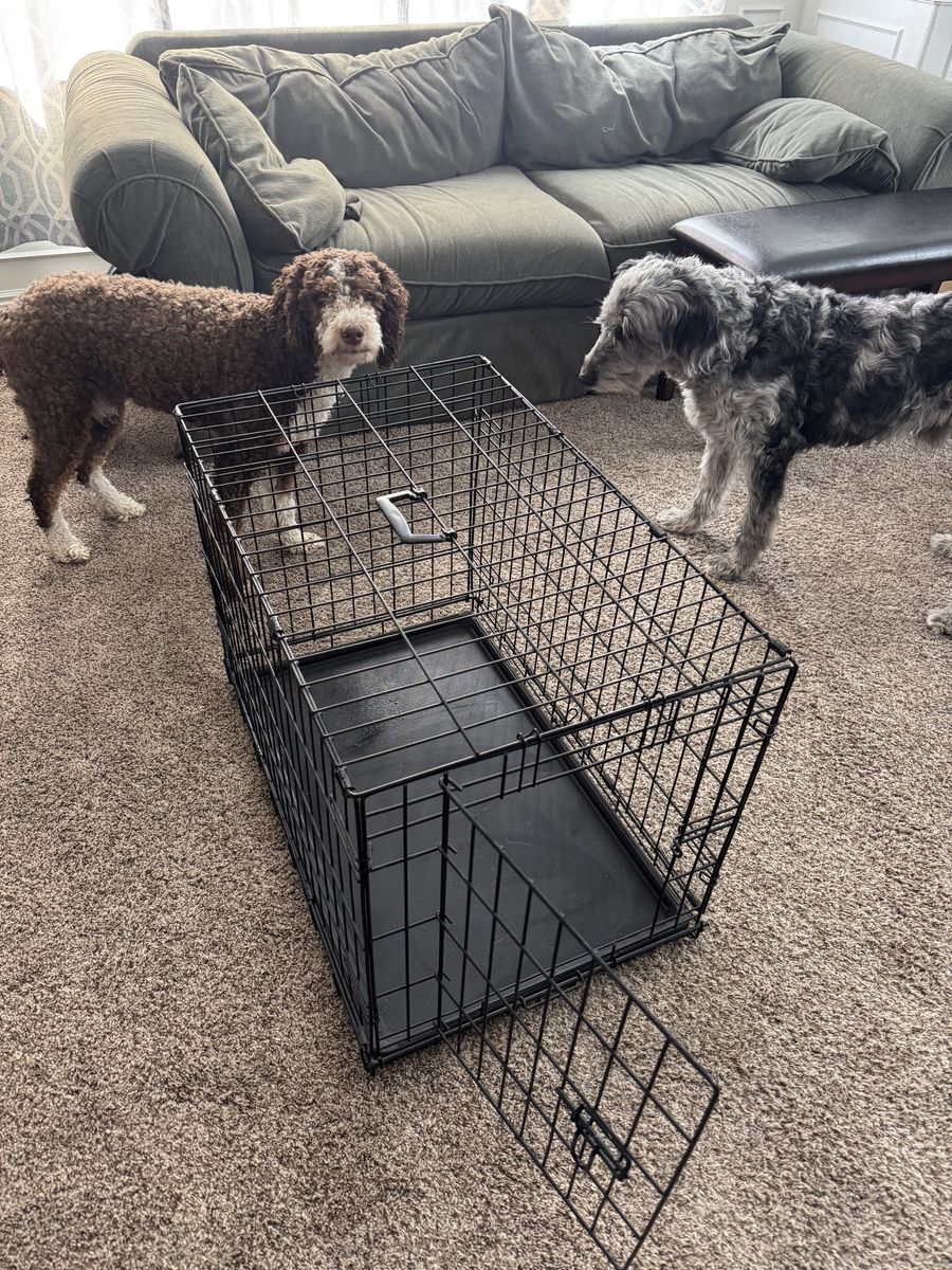 Dog Crate/Kennel (Good condition)