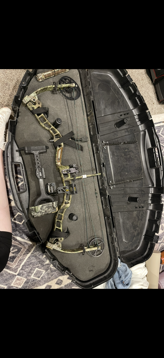 Bear Archery compound bow