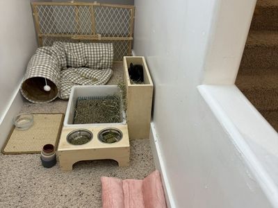 Rescued bunny and supplies