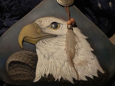 Unique Hand-Painted Eagle Art Gourd with Feather Accent - Rustic Home Decor