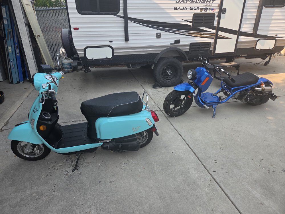 2 scooters mad dog ice bear, buddy kick