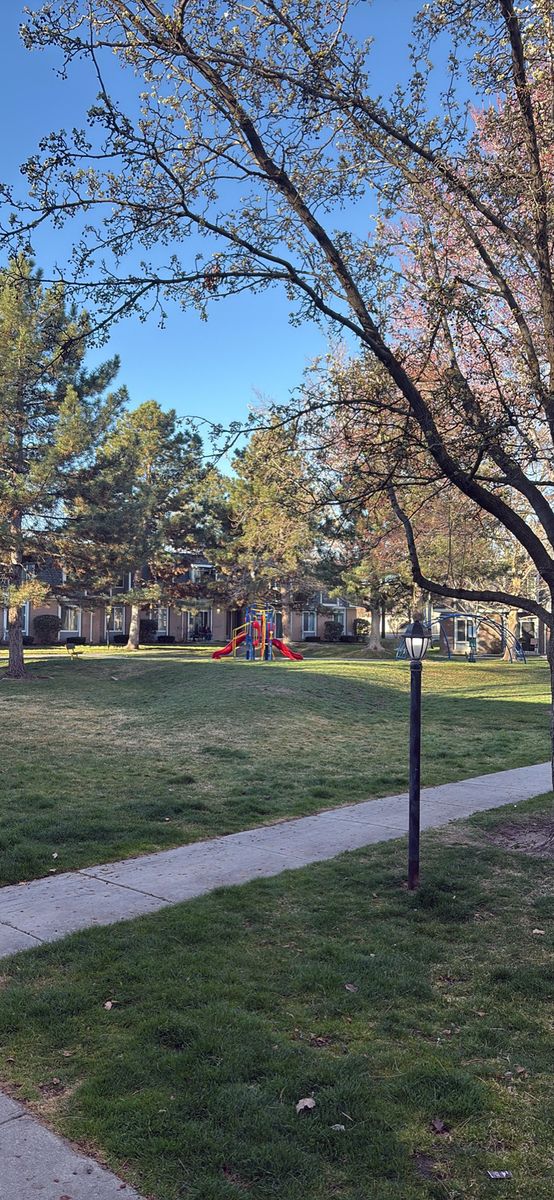 1 Room Available For Rent