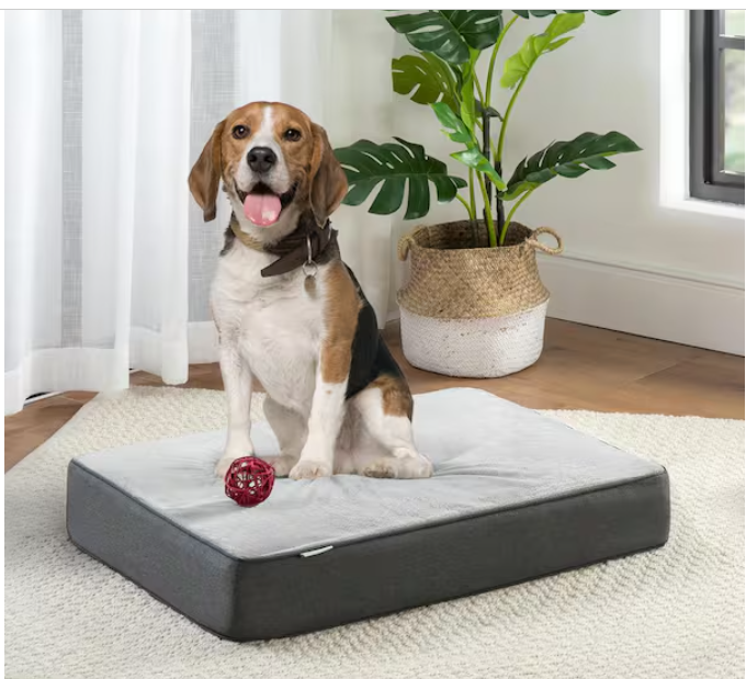 Zinus Memory Foam Pillow Pet Bed - LARGE