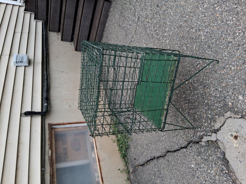 small pet cage