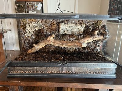 Snake Terrarium (with heat lamp)