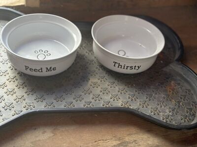 food bolw And Bone Pet Feeding Placemat