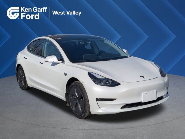 2019 TESLA MODEL 3 Standard Range Plus