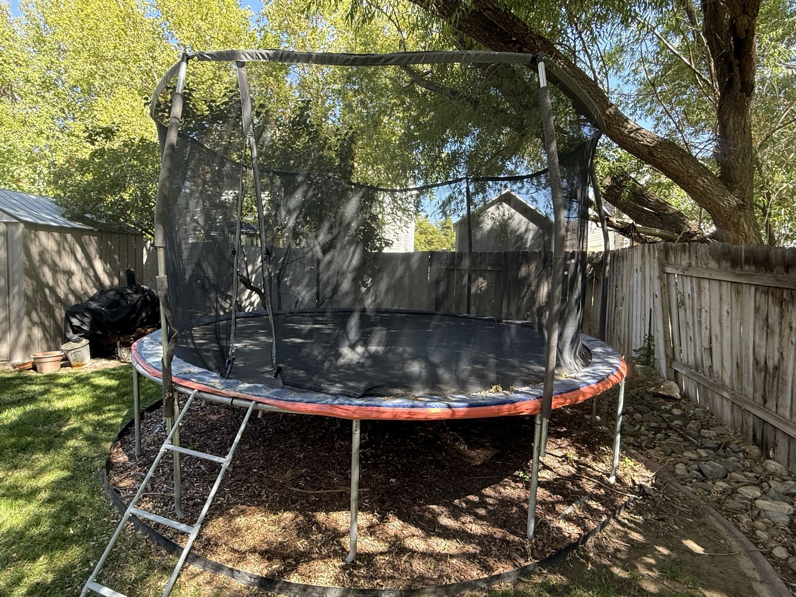 Outdoor Backyard Trampoline with Safety Enclosure Net and Ladder