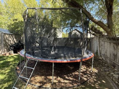 Outdoor Backyard Trampoline with Safety Enclosure Net and Ladder