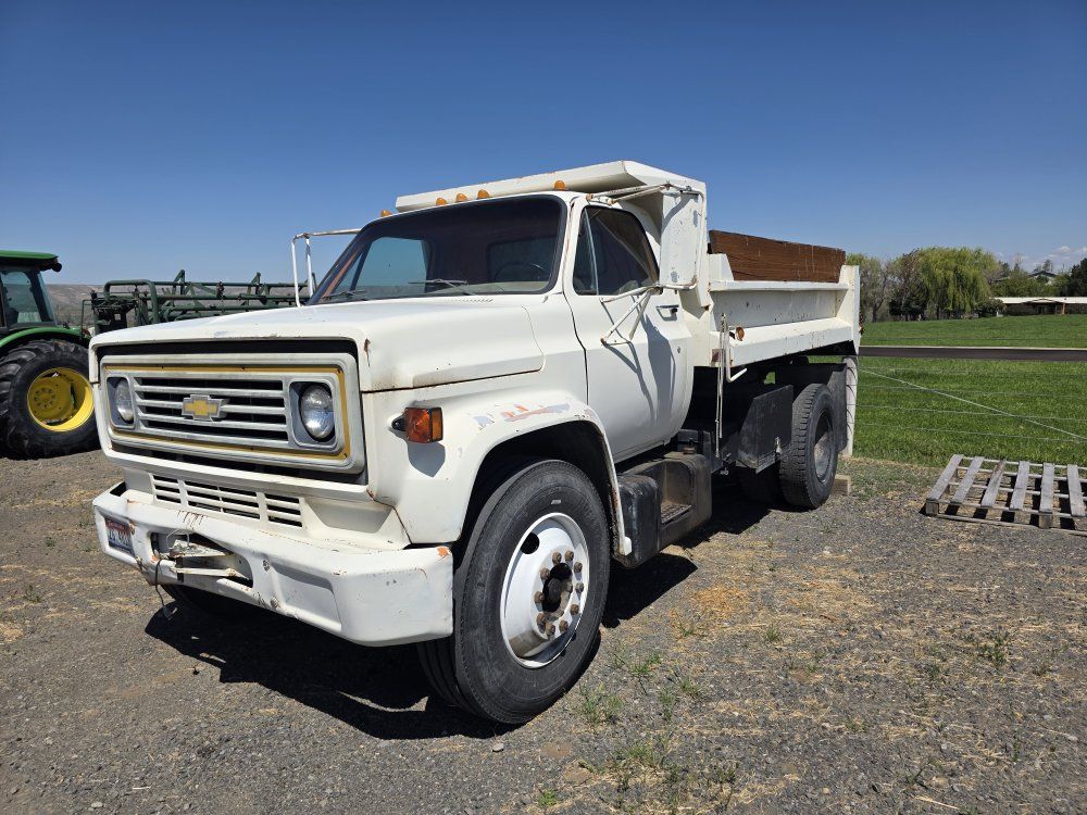 1980 C30 Dump Truck