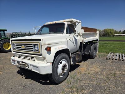 1980 C30 Dump Truck