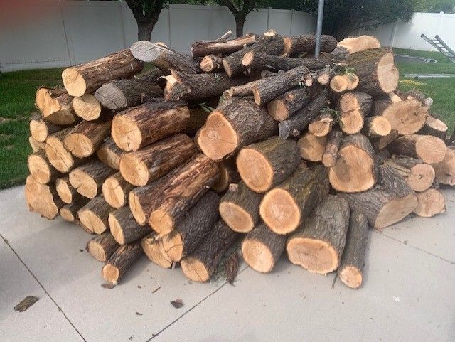 Free Firewood