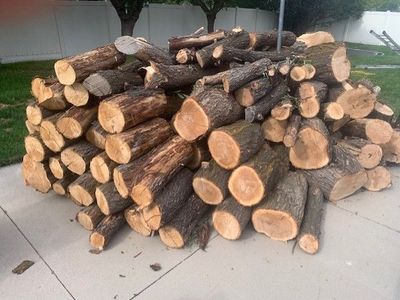 Free Firewood