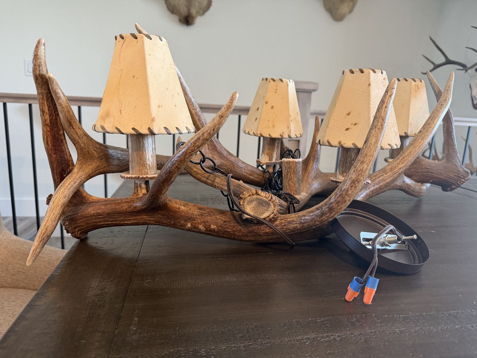 Rustic Real Antler Chandelier - 4 Light Fixture, Cabin/Lodge Decor