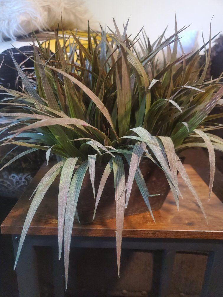 Realistic Greenery Decor
Artificial Plant fcfs