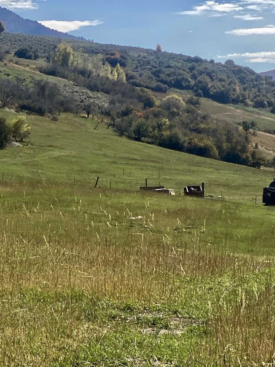 Mink Creek, Idaho Buildable 4 Acre Lot