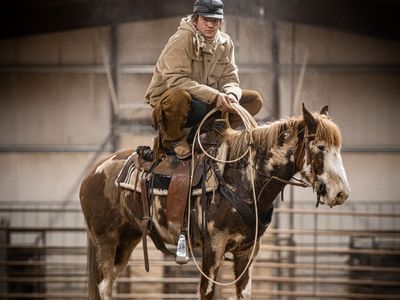5yo all around prospect mare