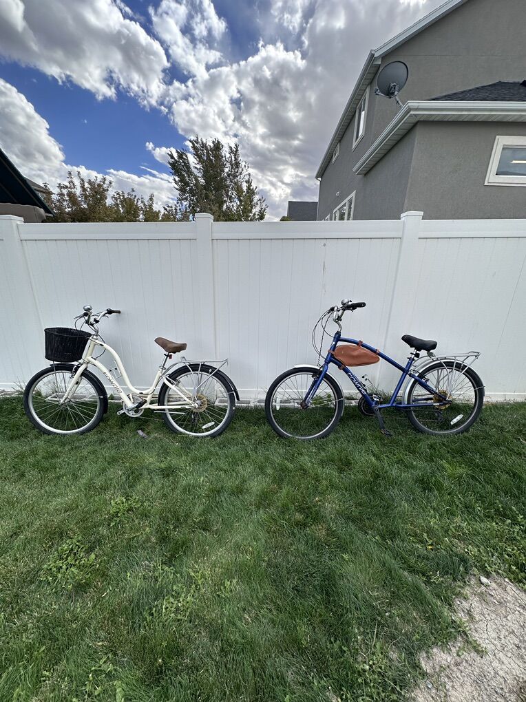 Townie Bicycle Package Deal