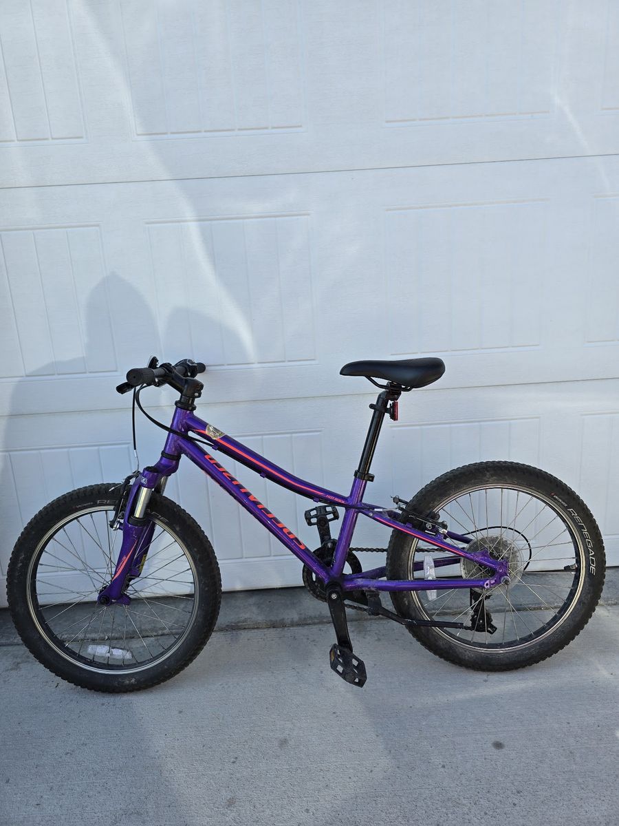 Specialized Riprock Kids Mountain Bike 20” – Great Condition