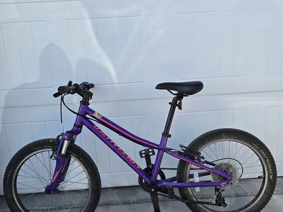 Specialized Riprock Kids Mountain Bike 20” – Great Condition