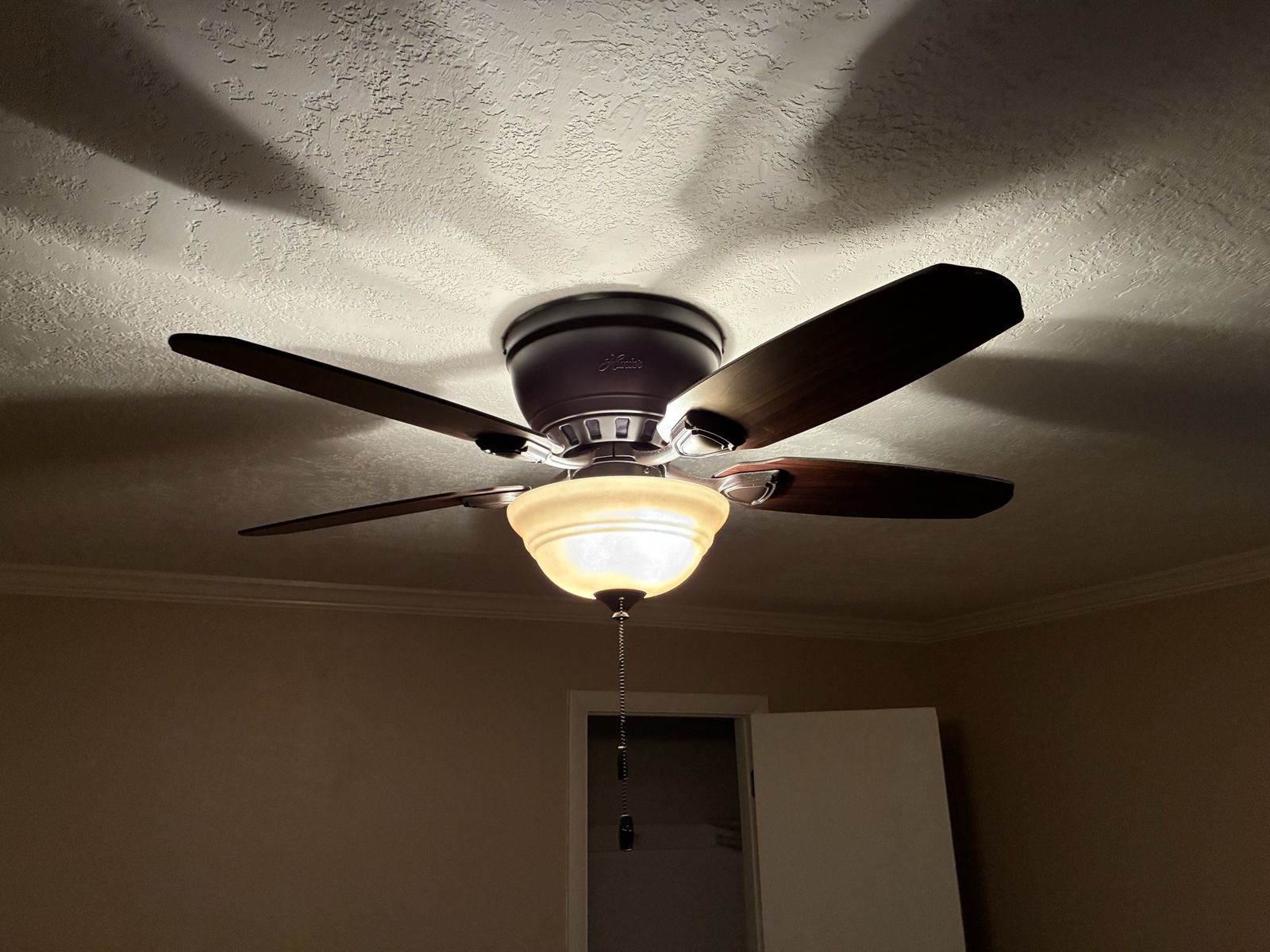 Hunter Ceiling Fan with Light Kit - Dark Bronze & Wood Grain Blades