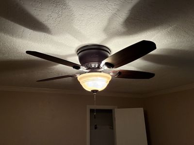 Hunter Ceiling Fan with Light Kit - Dark Bronze & Wood Grain Blades