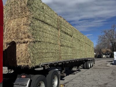 3x4 horse quality alfalfa