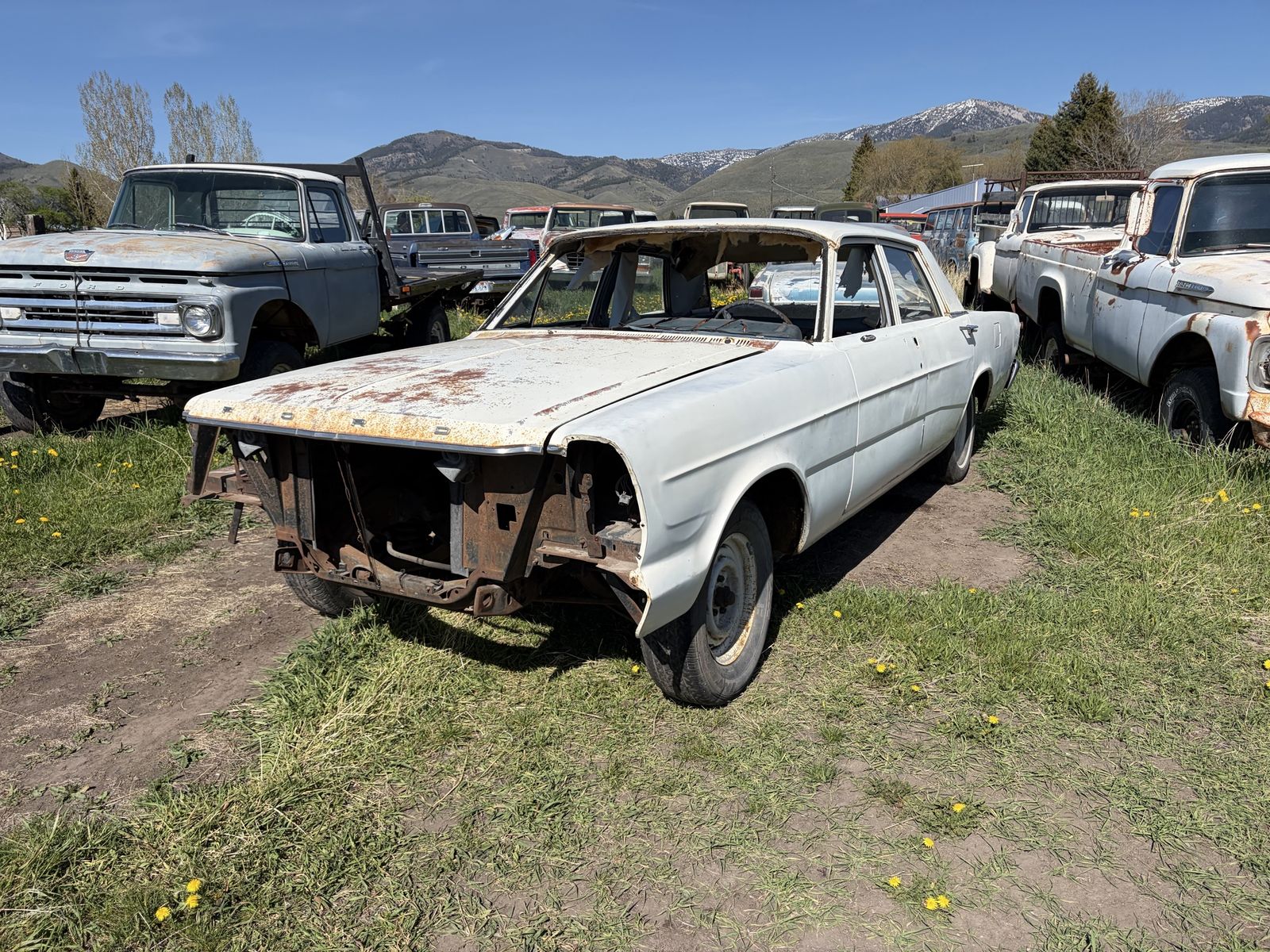 66 galaxie