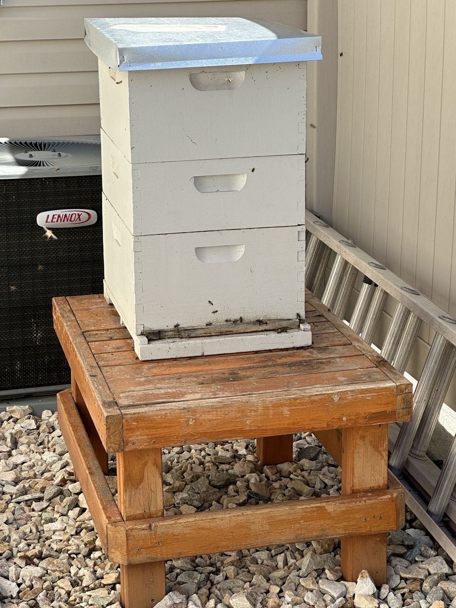 Complete Beekeeping Setup – Everything You Need Except Bees!