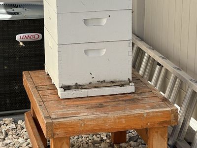 Complete Beekeeping Setup – Everything You Need Except Bees!