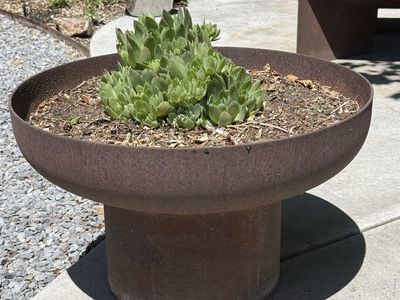 Fire pit