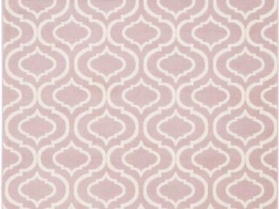 New. Cute Pink 6x9 Trellis Area Rug