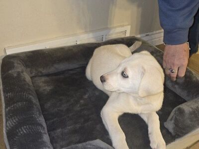 DISCOUNT: SADIE Beautiful Hu