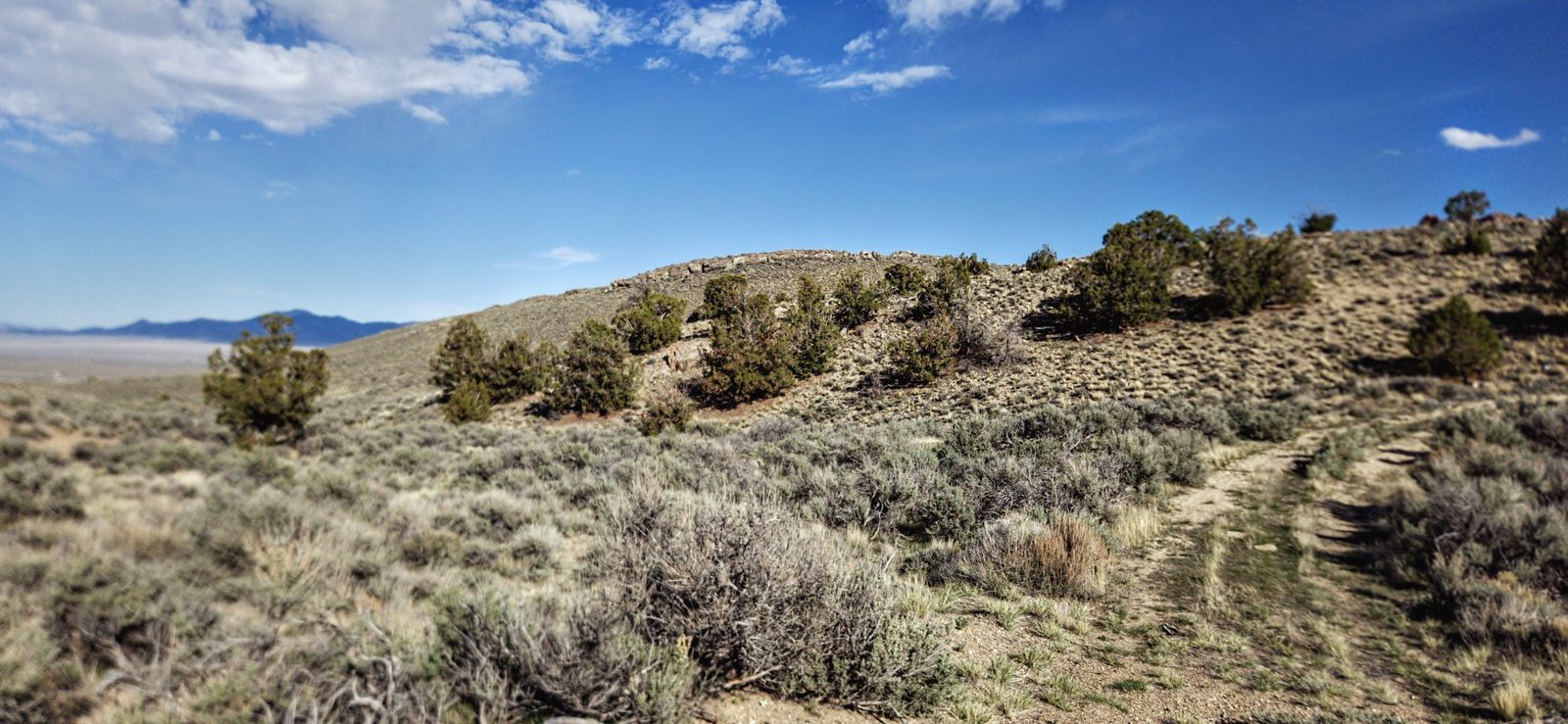 10 Acres of Shaded Freedom in NV