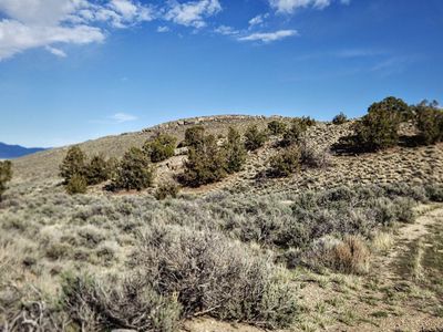 10 Acres of Shaded Freedom in NV