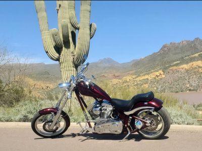 Big Dog Chopper