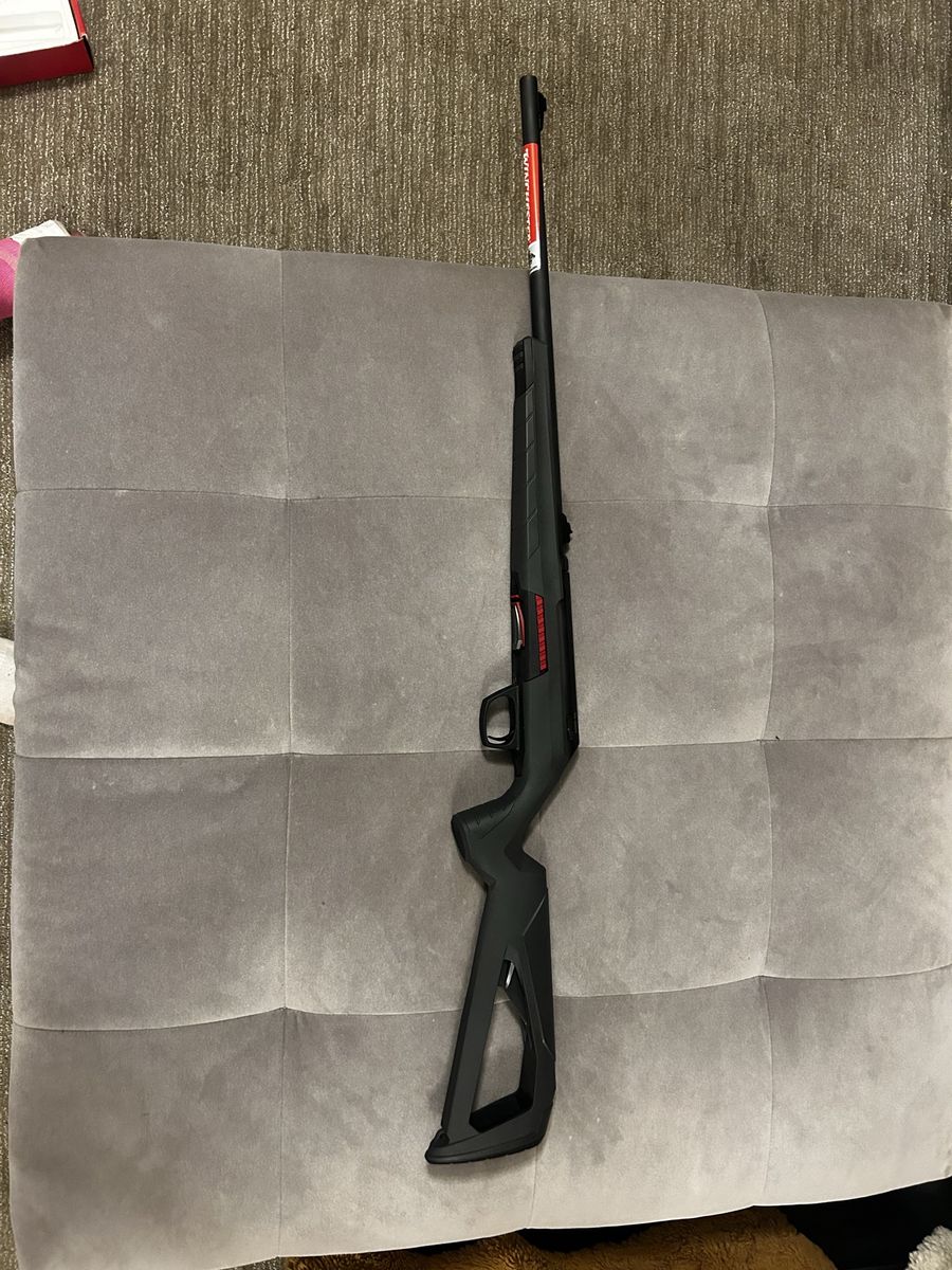 winchester 22