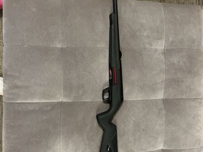 winchester 22
