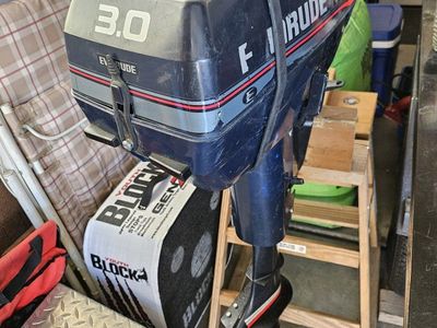 Evinrude 3.0 Outboard Boat Motor - Used