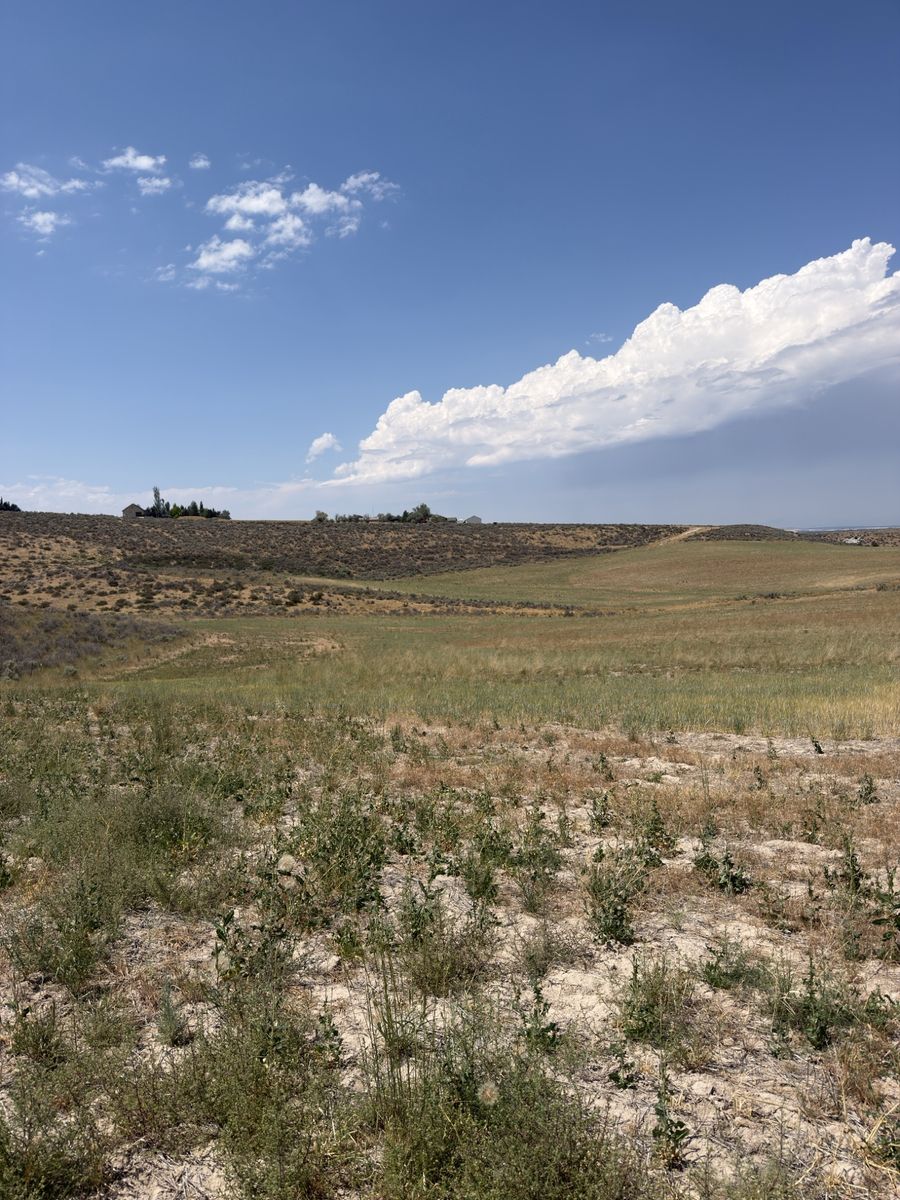 Main image 7