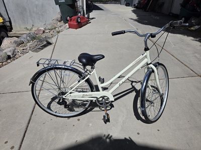 clean schwinn woman's bike