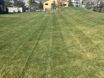 Tamed Woods Landscaping