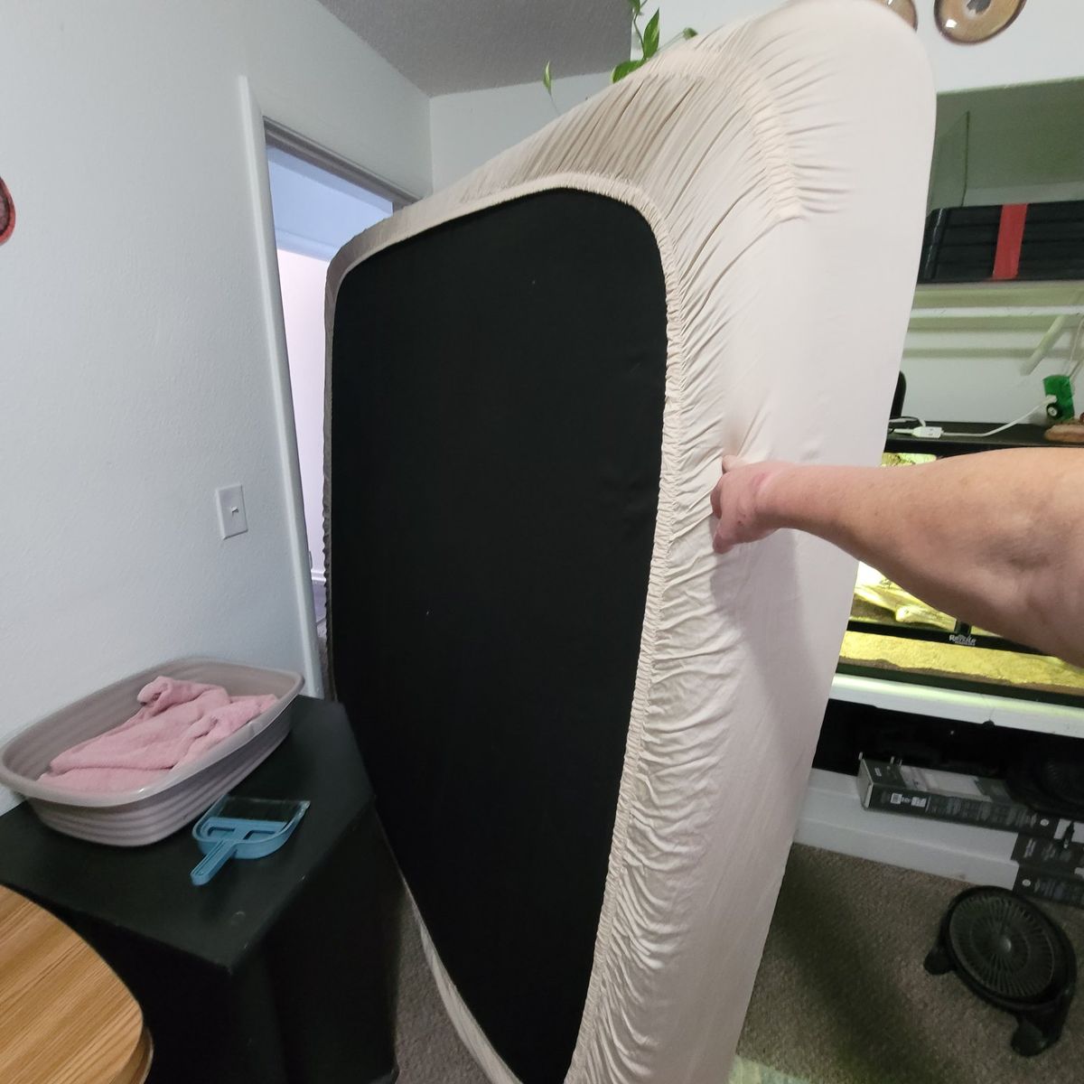 king mattress $50 obo