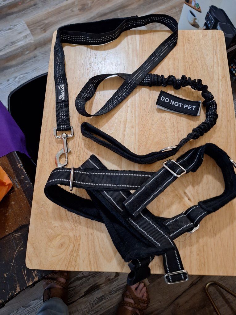 Stallion Black Dog Harness & Leash Set - Reflective with "Do Not Pet" Patch