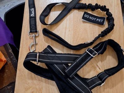Stallion Black Dog Harness & Leash Set - Reflective with "Do Not Pet" Patch