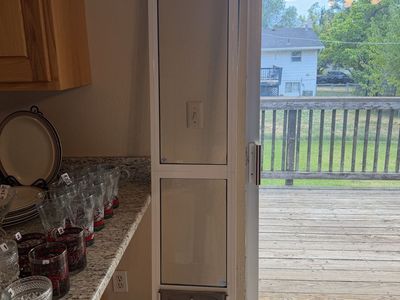 PetSafe White Sliding Glass Pet Door Insert - Large Size for Patio Doors