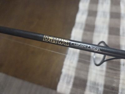 Daiwa fishing